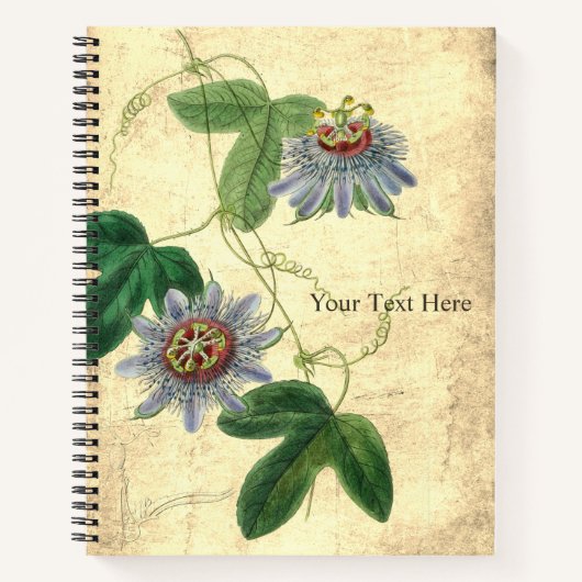 Passiflora Amethystina-Notebook Notizblock (Vorderseite)