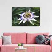 Passiflora - Blumenfotografie Leinwanddruck (Insitu (Wohnzimmer))