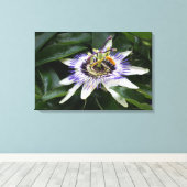 Passiflora - Blumenfotografie Leinwanddruck (Insitu (Holzboden))