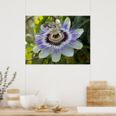 Passiflora edulis forma flavicarpa (Passion Blume Poster (Küche)
