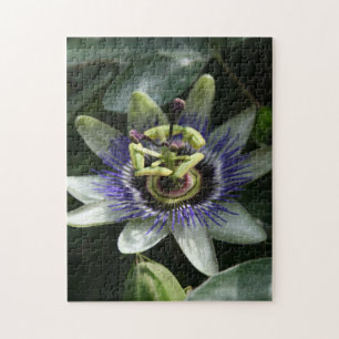 Passiflora Fleur de la Passion Floral Foto Puzzle
