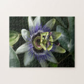 Passiflora Fleur de la Passion Foto Puzzle (Horizontal)