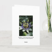 Passiflora - Fleur de la Passion Karte (Rückseite)