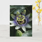Passiflora - Fleur de la Passion Karte (Gelbe Blume)