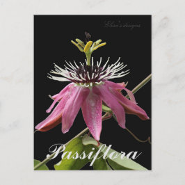 Passiflora Postkarte
