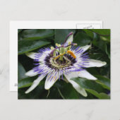 Passiflora Postkarte (Vorne/Hinten)