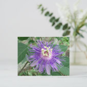 Passiflora Postkarte (Stehend Vorderseite)