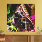 Passiflora VIOLACEA und Blauer Morpho-Schmetterlin Leinwanddruck (Insitu (Wohnzimmer))