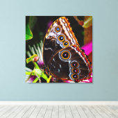 Passiflora VIOLACEA und Blauer Morpho-Schmetterlin Leinwanddruck (Insitu (Holzboden))