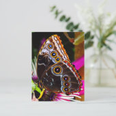 Passiflora VIOLACEA und Blauer Morpho-Schmetterlin Postkarte (Stehend Vorderseite)