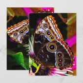 Passiflora VIOLACEA und Blauer Morpho-Schmetterlin Postkarte (Vorne/Hinten)