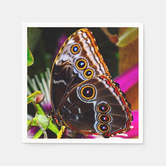 Passiflora VIOLACEA und Blauer Morpho-Schmetterlin Serviette (Vorderseite)