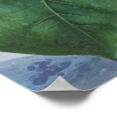 Passion Blume (1799), von Sydenham Teak Edwards. Poster (Ecke)