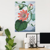 Passion Blume (1799), von Sydenham Teak Edwards. Poster (Heimbüro)