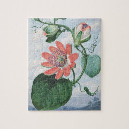 Passion Blume (1799), von Sydenham Teak Edwards. Puzzle