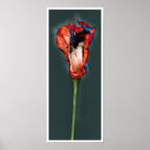 Passion-Blume #5 Poster (Vorne)