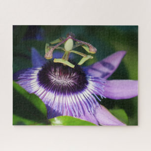 Passion Blume Jigsaw Puzzle