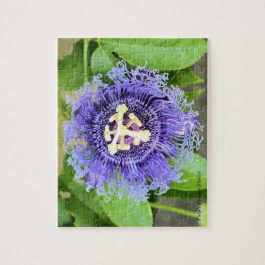 Passion Blume Jigsaw Puzzle Game (Vertikal)
