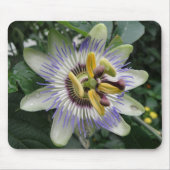 Passion Blume Mousepad (Vorne)