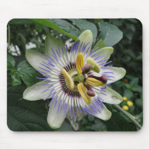 Passion Blume Mousepad