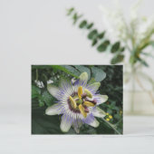 Passion Blume Postkarte (Stehend Vorderseite)