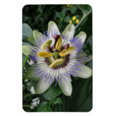 Passion Blume Premium Magnet (Vertikal)