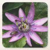 Passion Blume Untersetzer (Vorderseite)