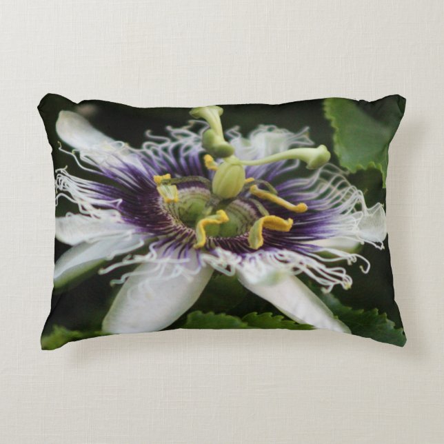 Passion Flower Closeup 3 Dekokissen (Vorderseite)