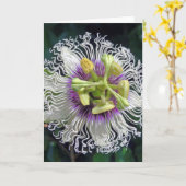 Passion Fruchtblüte Karte (Gelbe Blume)