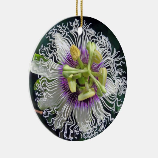 Passion Fruchtblüte Keramik Ornament (Rechts)