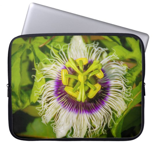 Passion Fruit Blume, Anaina Hou Gardens Wetsuit Laptopschutzhülle (Vorderseite)