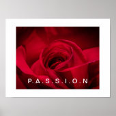 Passion Rote Rose Poster (Vorne)
