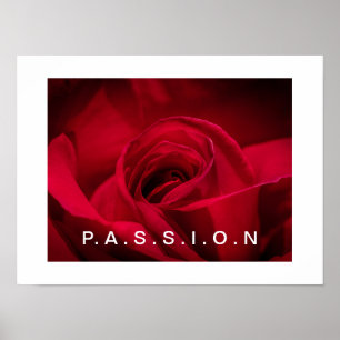 Passion Rote Rose Poster