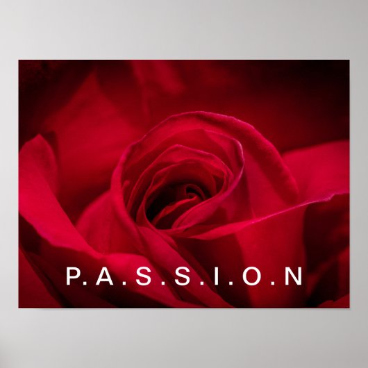 Passion Rote Rose Poster (Vorne)