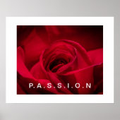 Passion Rote Rose Poster (Vorne)