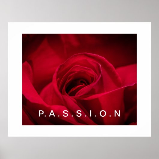 Passion Rote Rose Poster (Vorne)