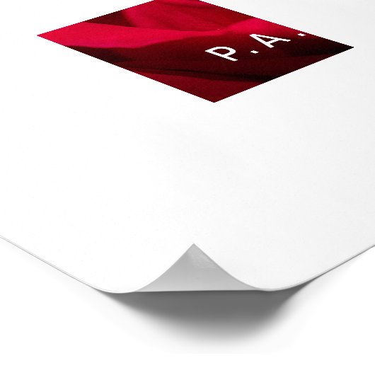 Passion Rote Rose Poster (Ecke)