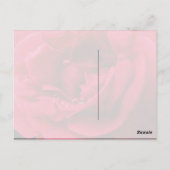 Passion Rote Rose Vielen Dank Postkarte (Rückseite)