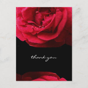 Passion Rote Rose Vielen Dank Postkarte
