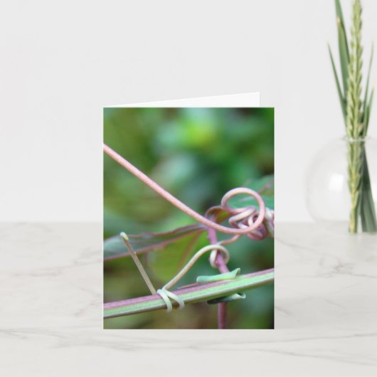 Passion Vine ~ Warum Knoten?! Karte (Vorderseite)