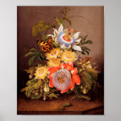 Passionblumen | Ferdinand Bauer Poster (Vorne)