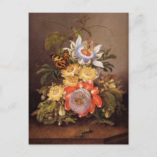 Passionblumen | Ferdinand Bauer Postkarte (Vorderseite)