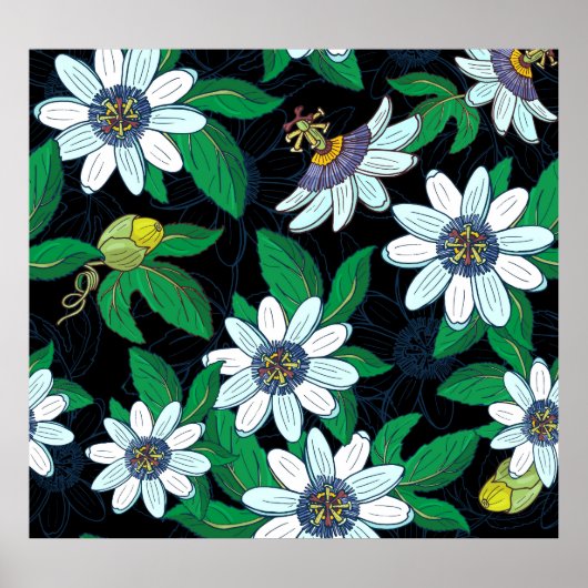 Passionflower Black Background Blume Nahtlos Poster (Vorne)