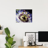 Passionflower nah-up (MR) Poster (Heimbüro)