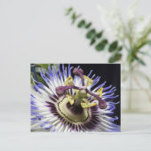 Passionflower nah-up (MR) Postkarte (Stehend Vorderseite)