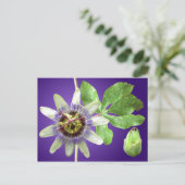 Passionflower Postcard Postkarte (Stehend Vorderseite)