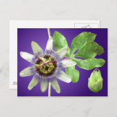 Passionflower Postcard Postkarte (Vorne/Hinten)