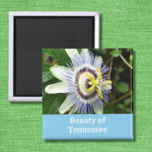 Passionflower Tennessee Staat Blume