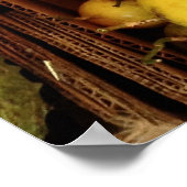 Passionfruit für den Verkauf Poster (Ecke)