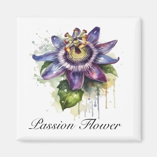 Passionierte Lila Passion-Blume Magnet (Vorne)